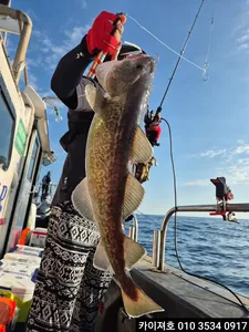 30일 왕대구 오늘도 만쿠르!