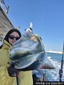 29일 방어 삼치 대박 일오전 모집중