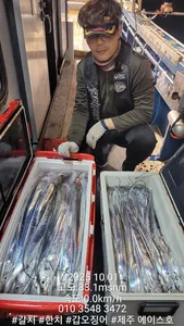 제주에이스호!!(9월30일)제주갈치조황입니다010 35483472~010 3860 3472{9.77톤22인승12석운)전좌석봉돌투등기장착 청결은보장