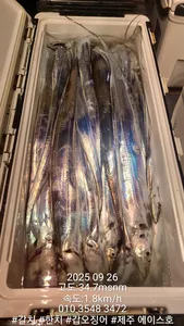 제주에이스호!!(9월25일)제주갈치조황입니다010 35483472~010 3860 3472{9.77톤22인승12석운)전좌석봉돌투등기장착 청결은보장