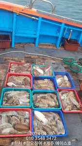  제주에이스호!!(30)서귀포갑돌이조황입니다.(21년건조한9.77톤16석)문의01035483472~01038603472