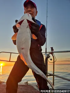 오늘도 전원히트 타작 만쿨! 01일 대구조황