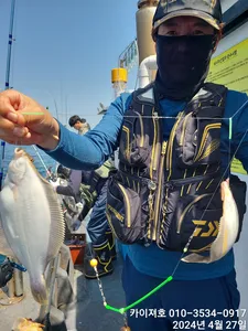 28일) 오전도 오후도 대박 이였습니다~