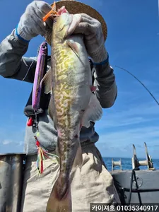 28일)왕초보도 전원히트! 28일 대구조황