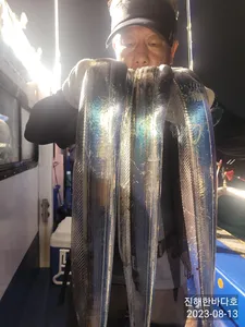 씨알 굵직~~한 준내만갈치 시원한 입질에 째고가는 짜릿한 손맛~!! 내일도 달립니다^0^