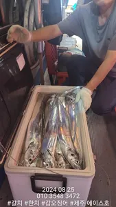 제주에이스호!!(24일)대갈치 조황입니다..문의 010 3548 3472~010 3860 3472