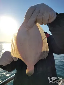 오늘도 통통~하고 굵직굵직한 도다리 찐한 손맛보시며 즐겁게 힐링하고 왔습니다~^0^