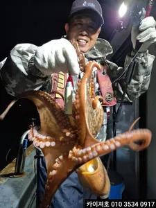 20일)목요일 오후5시 돌문어 모집중~~