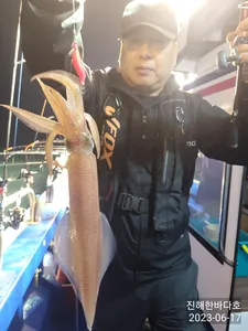 [진해 한치낚시] 시원하게 들어오는 입질에 전원 찐한손맛 보시며 즐기고왔습니다~!