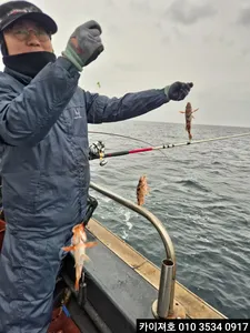 볼락열기 일요일 부터 쭉 출항 합니다~