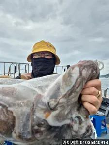 20일 오전 돌문어도 대박!!