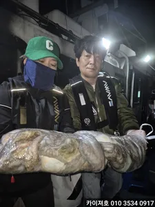 15일)야간 돌문어도 타작 이네요~!