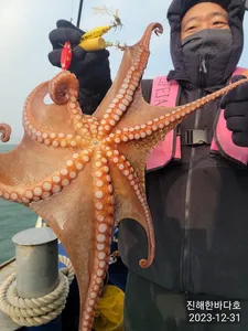 [진해문어낚시] 오늘도 묵직하게 올라오는 돌문어 전원 찐한 손맛보시며 열낚 즐낚하고왔습니다^0^