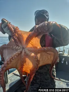 11일)오전 왕왕 도다리 문어 참가자미 조황