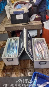 제주에이스호!!(9일)대갈치조황입니다.문의010 3548 3472~010 3860 34472전좌석봉돌투승기장착(9.77톤12석운영자리간격넓습니다.)