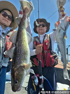 왕초보 사모님도 만쿨! 12일 대구조황
