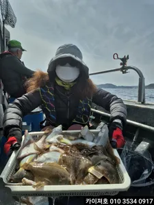 20일)목요일 오전 부터 왕도다리참가자미 모집중