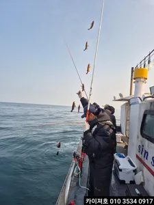 오늘 23일 볼락.열기 조황입니다.