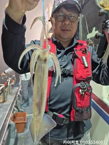 6월23일 일요일 야간 화살촉 조황 화 모집중