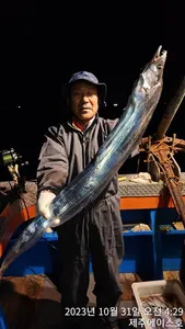 제주에이스호!!(30일)대갈치조황입니다..문의01035483472~01038603472