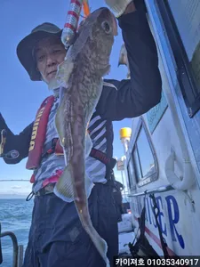 왕대구 조황 좋습니다 수 모집중