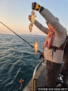 15일)오전 볼락.열기 조황!