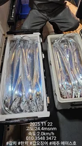 주에이스호!!(11월21일)제주갈치조황입니다010 35483472~010 3860 3472{9.77톤22인승12석운)전좌석봉돌투등기장착 청결은보장