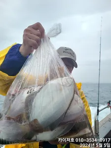 5일) 오늘도 대박~!!