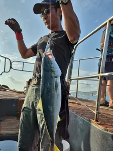 오늘1일)대삼치방어 우당탕탕 월 모집중