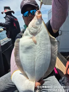 묵직한 마릿수와 씨알, 주말 자리 많습니다