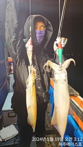 제주에이스호!!(18일)한치조황입니다..문의 010 3548 3472~010 3860 3472