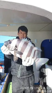  제주에이스호!!(17일)돌돔조황입니다문의~01035483472~01038603472