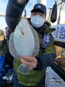 오늘도 씨알 좋은 봄도다리 후두두둑~!! 쌍걸이에 연이은히트~~ 굵직굵직 도다리 찐한 손맛 보고왔습니다^0^