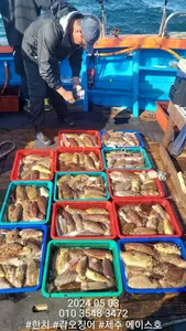 제주에이스호!!(3일)서귚포갑오징어조황입니다.(9.77톤22인승16석운영)문의 01035483472~01038603472