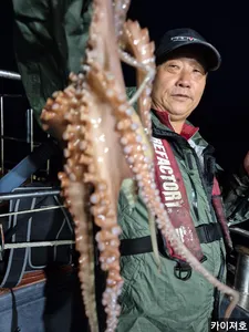 7일)화끈한 밤 돌문어 역시나 타작~!!