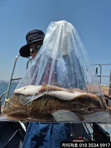 14일 도다리.참가자미 조황