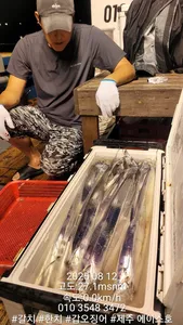 제주에이스호!!(8월11일)북제주권갈치조황입니다010 35483472~010 3860 3472{9.77톤22인승14석운영