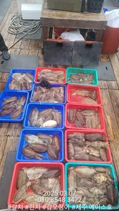 제주에이스호!!(3월7일)심해갑오징어조황입니다010 35483472~010 3860 3472{9.77톤22인승16석운영..