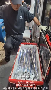 제주에이스호!!(10월1~4일)제주갈치조황입니다010 35483472~010 3860 3472{9.77톤22인승12석운)전좌석봉돌투등기장착 청결은보장