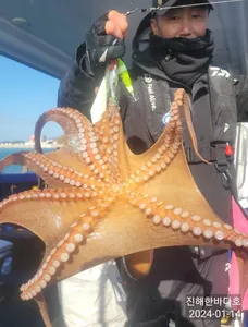 [진해문어낚시] 오늘도 묵직하게 올라오는 키로오버 돌문어 찐한 손맛보시며 열낚 즐낚하고왔습니다^0^