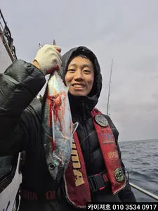 13일 오후 삼치방어 조황