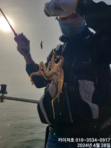 몸만 와도 대박 터져요~화 08시 여유자리운동장~