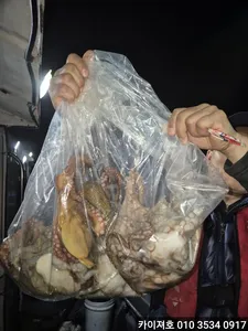 16일 야간 돌문어 조황!