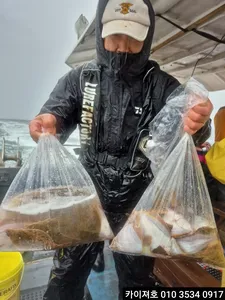 3일)오전 우중에서도 타작