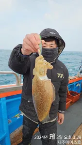  제주에이스호!!(3일)갑이조황입니다~문의01035483472~01038603472