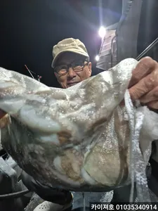 30날 돌문어 폭팔~