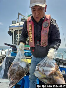 19일 도다리.참가자미 조황