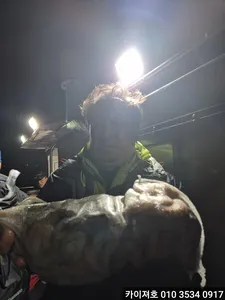 17일 야간 돌문어~