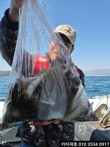 22일)오전 도다리참가자미 조황