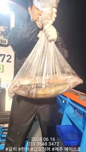 제주에이스호!!(15일)한치조황입니다. 문의010 3548 3472~010 3860 3472